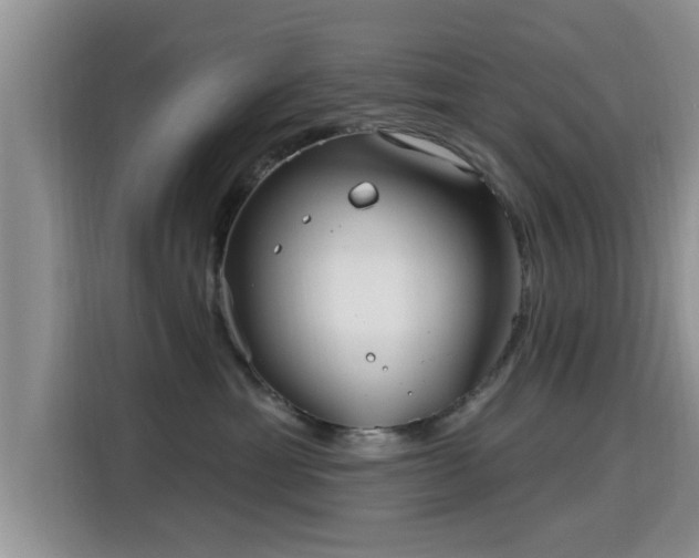 X0000115690429200911191118