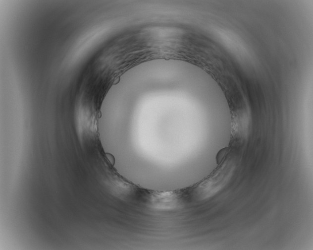 X0000115690431200911191118