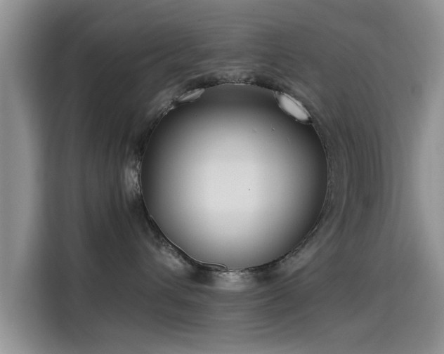 X0000115690432200911191118