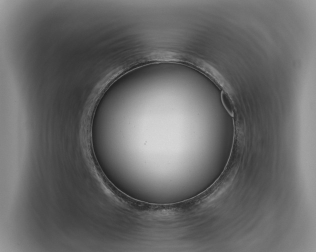 X0000115690433200911191117