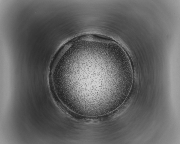 X0000115690434200911191117