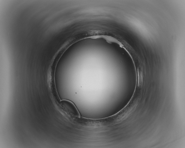 X0000115690435200911191117