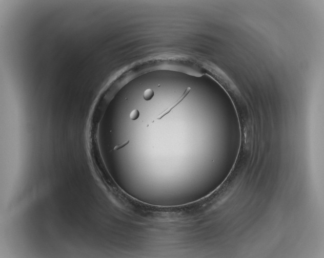 X0000115690436200911191117