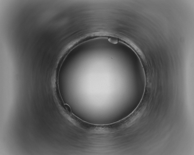 X0000115690437200911191117