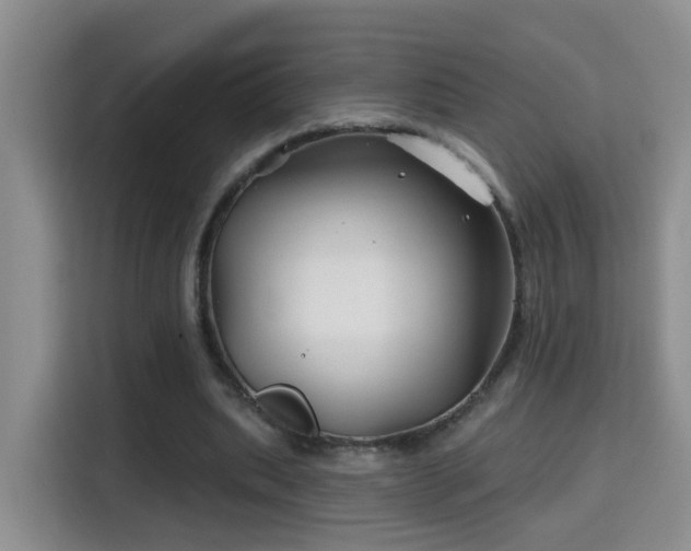 X0000115690439200911191117