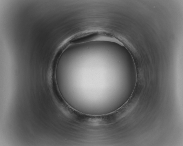 X0000115690440200911191117