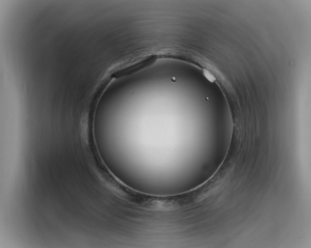 X0000115690442200911191117