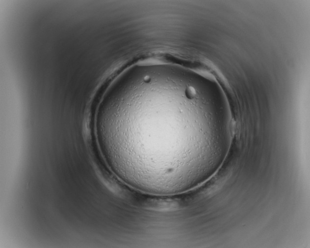 X0000115690443200911191117