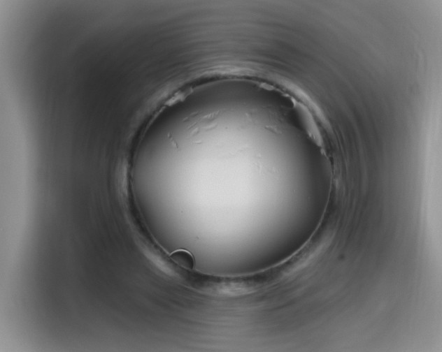 X0000115690445200911191117