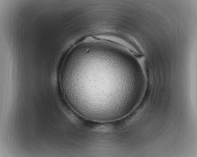 X0000115690447200911191117