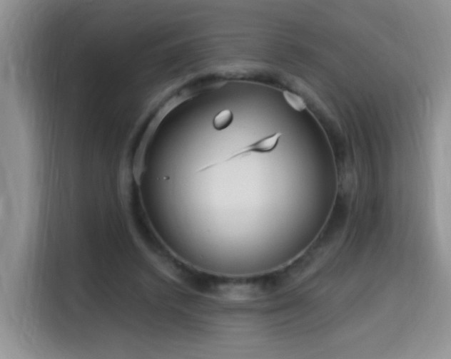 X0000115690448200911191117