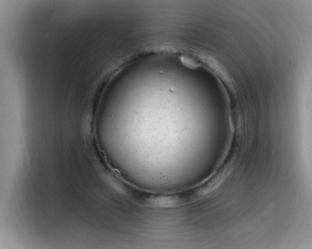 X0000115690449200911191117