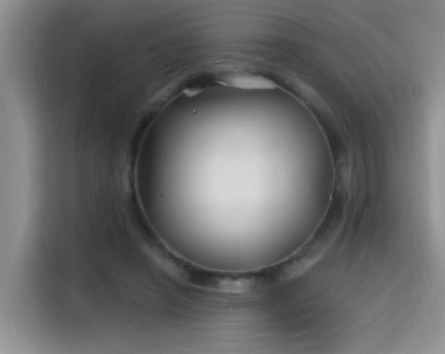 X0000115690450200911191117