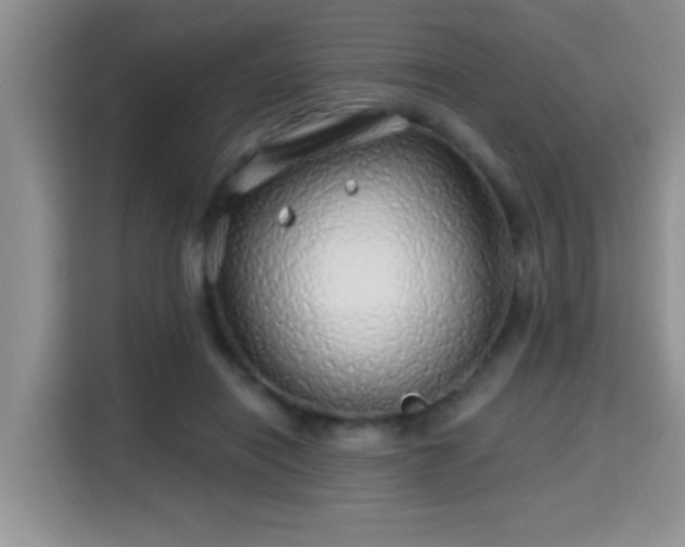 X0000115690454200911191117