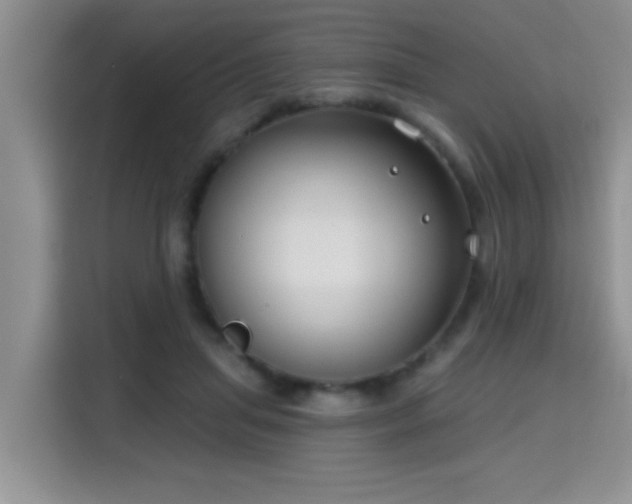 X0000115690455200911191117