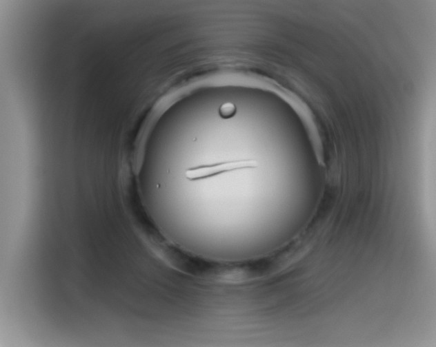 X0000115690456200911191117