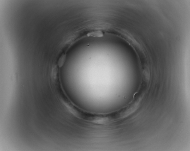 X0000115690458200911191117