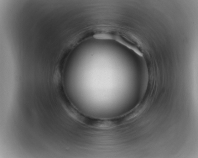 X0000115690459200911191117