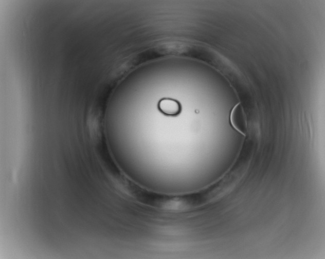 X0000115690460200911191117