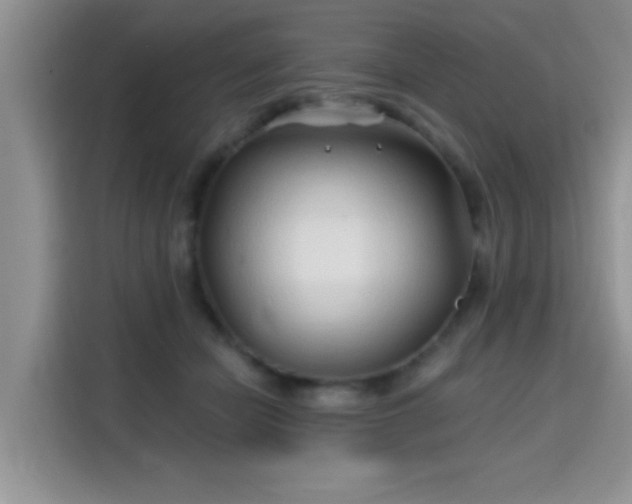 X0000115690462200911191117