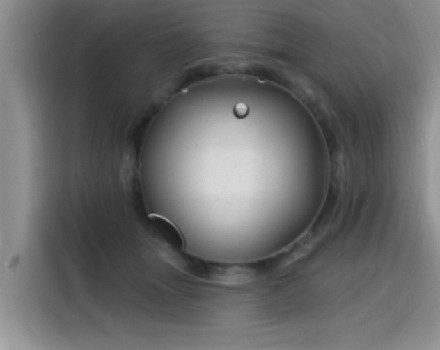 X0000115690463200911191117