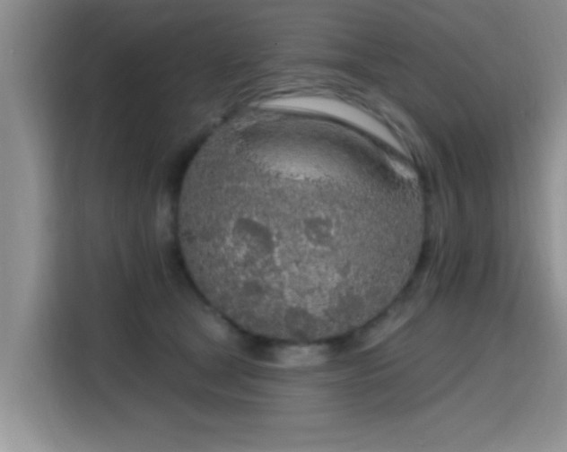 X0000115690465200911191117