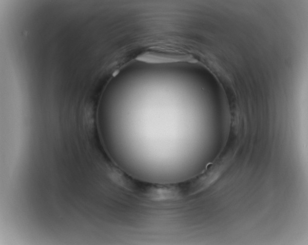 X0000115690466200911191117