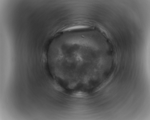 X0000115690467200911191117