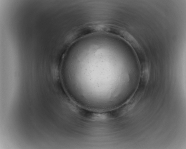 X0000115690469200911191117