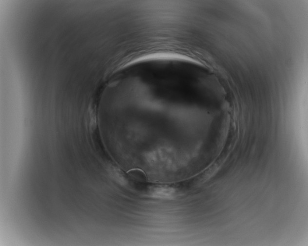 X0000115690471200911191117