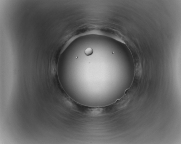 X0000115690474200911191117