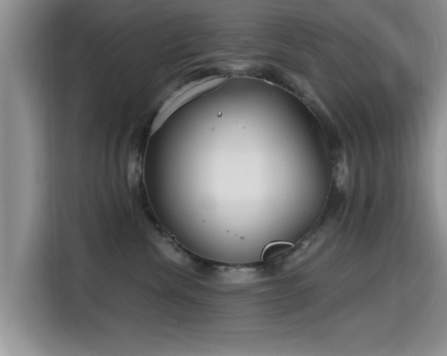 X0000115690476200911191117