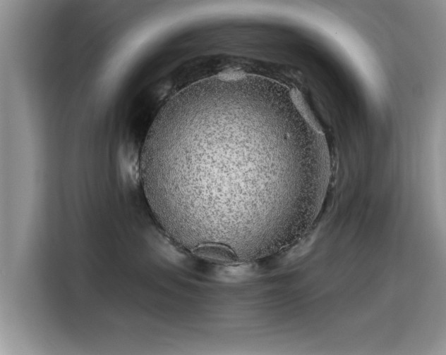 X0000115690479200911191117