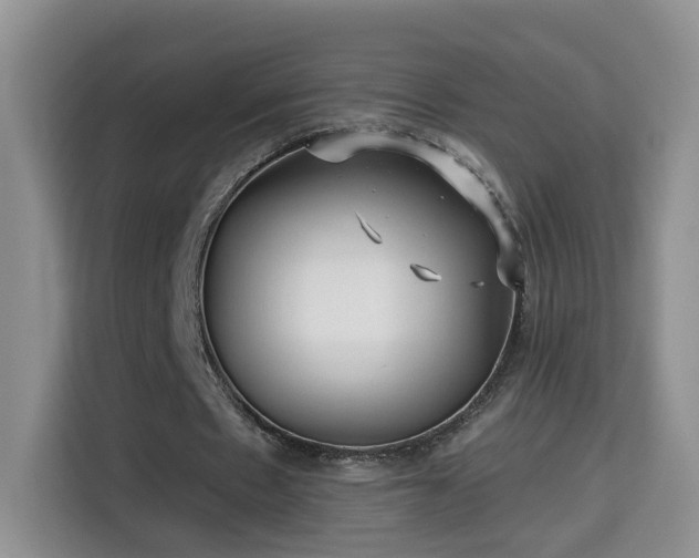 X0000115690481200911191117