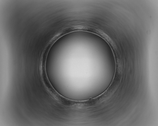 X0000115690482200911191117