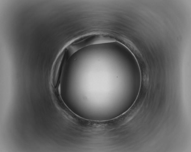 X0000115690484200911191117