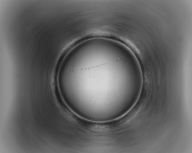 X0000115690487200911191117