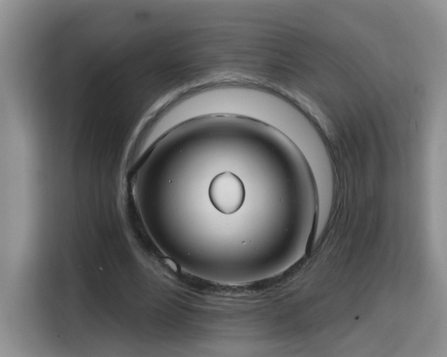 X0000115690488200911191117