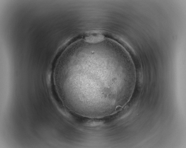 X0000115690491200911191117