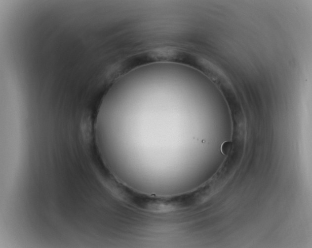 X0000115690498200911191117