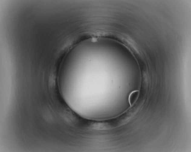 X0000115690499200911191117