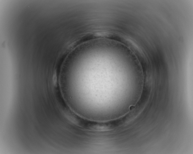 X0000115690502200911191117