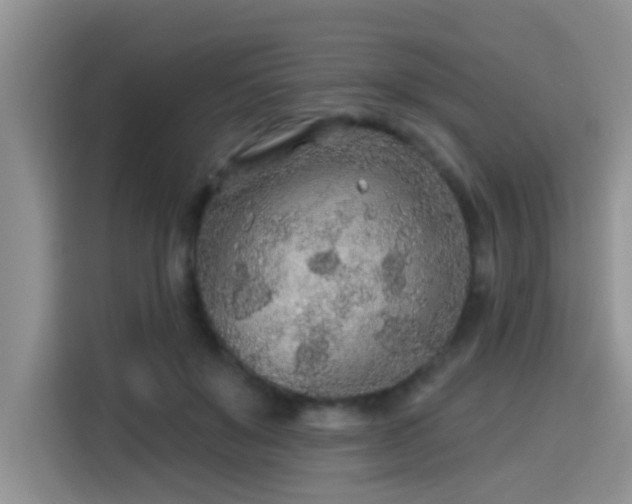 X0000115690503200911191117