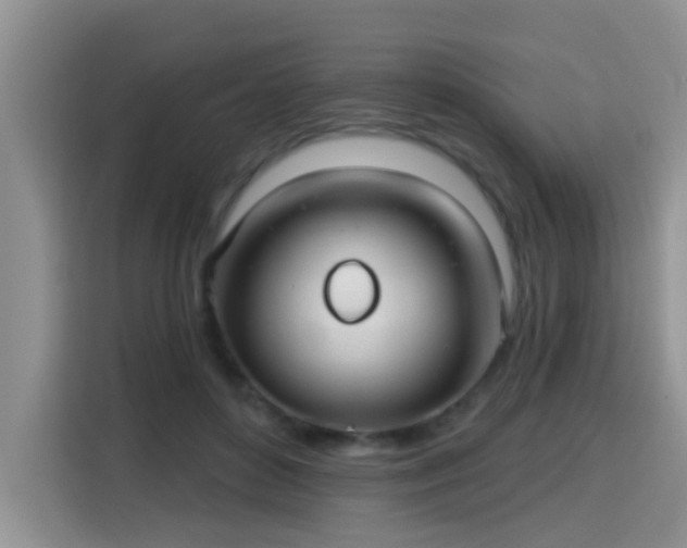 X0000115690504200911191117