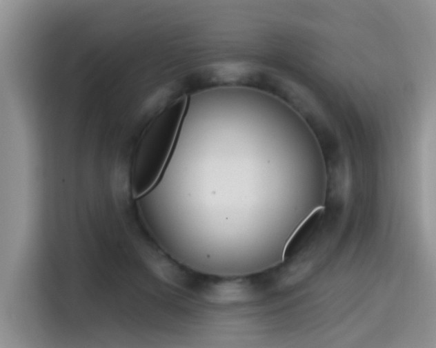 X0000115690505200911191117