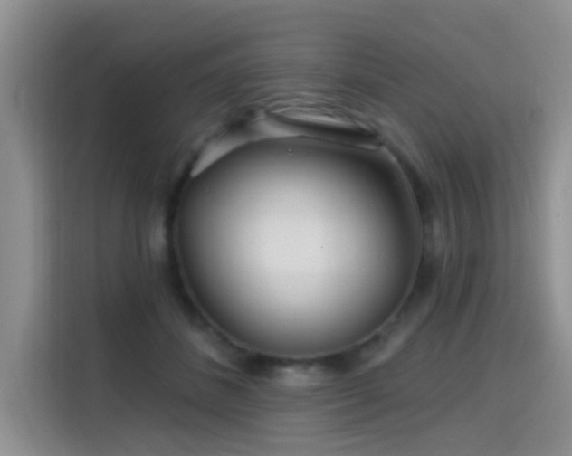 X0000115690508200911191117