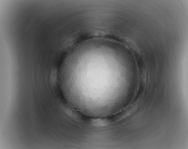 X0000115690511200911191116