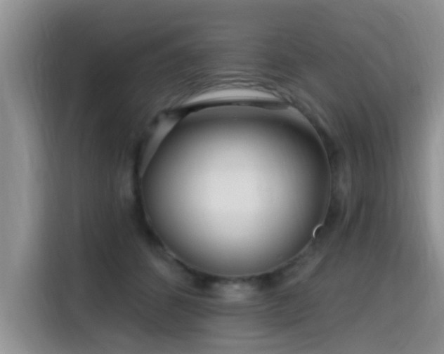 X0000115690512200911191116