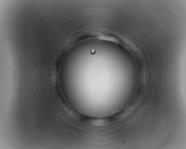 X0000115690513200911191116