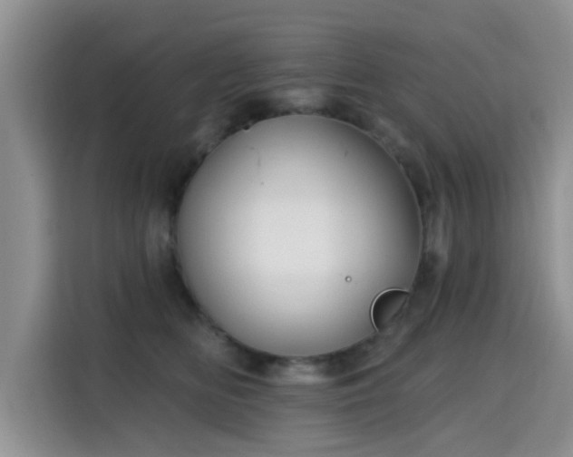 X0000115690518200911191116